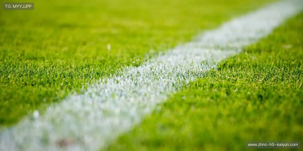 📺 随时随地,想看就看,体育直播让精彩永不掉线!