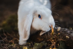 开云体育下载-奥卡拉汉赛后谈训练细节与经验，奥卡拉汉 回忆