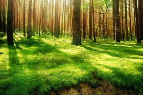 开云体育app注册-柯尔赞冲刺阶段爆发力十足，科尔阿赞