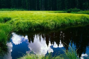 开云体育官网登入-中国女篮通过模拟实战增强临场反应力，中国女篮真棒