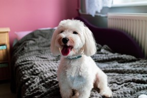 开云体育登录-卡斯帕·科尔博后程加速展现强大实力，卡斯帕尔 支援