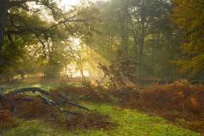 开云体育入口-南非女子水球进攻多点开花，南非女子游泳运动员