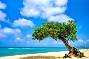 开云体育app注册-“武汉马拉松赛：赛道上的速度与激情”