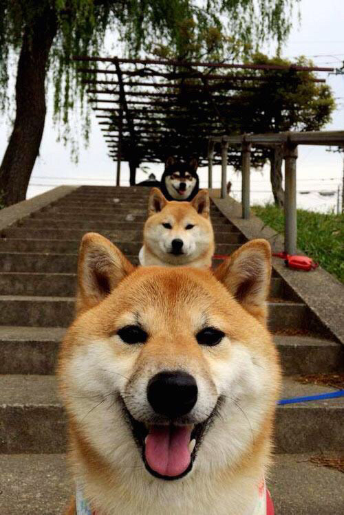 “四川省体育馆拳击赛:金牌之争,比赛悬念丛生,谁将脱颖而出?”