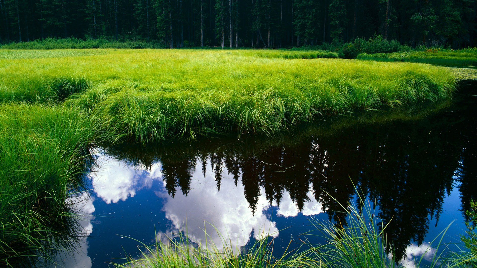 中国女篮通过模拟实战增强临场反应力,中国女篮真棒
