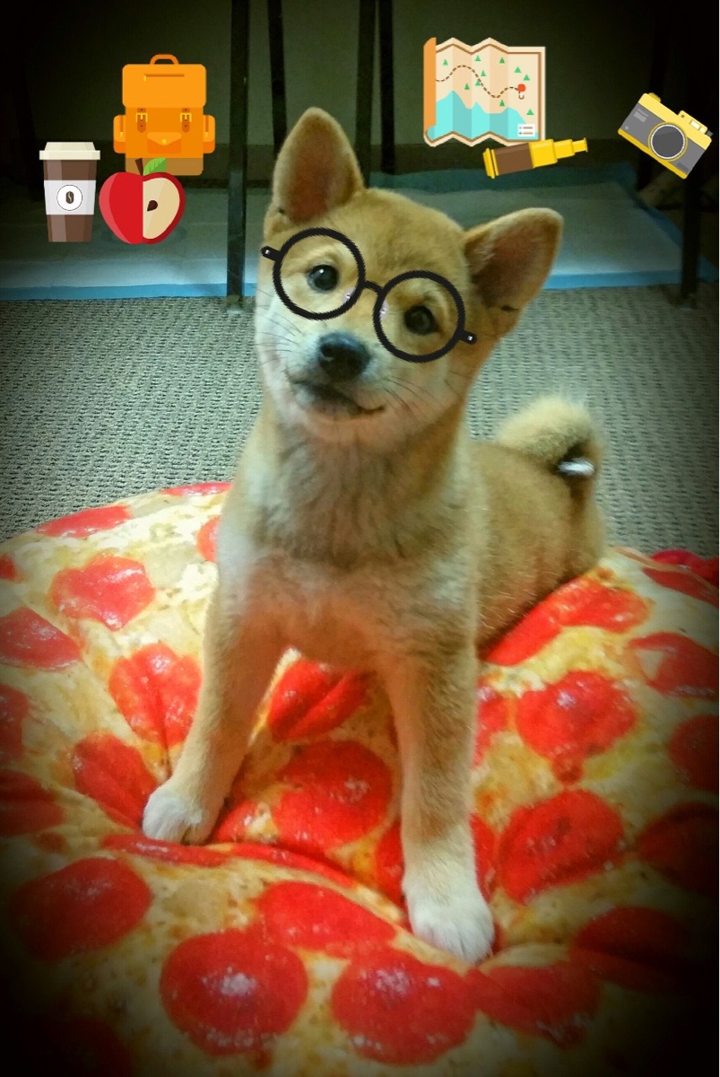 中超联赛中国女足战胜 球员状态回升明显,中国女足反超