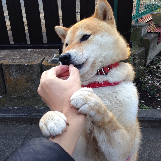 体育新闻中心联合高校开展体育内容创新创业竞赛,学校体育创新项目