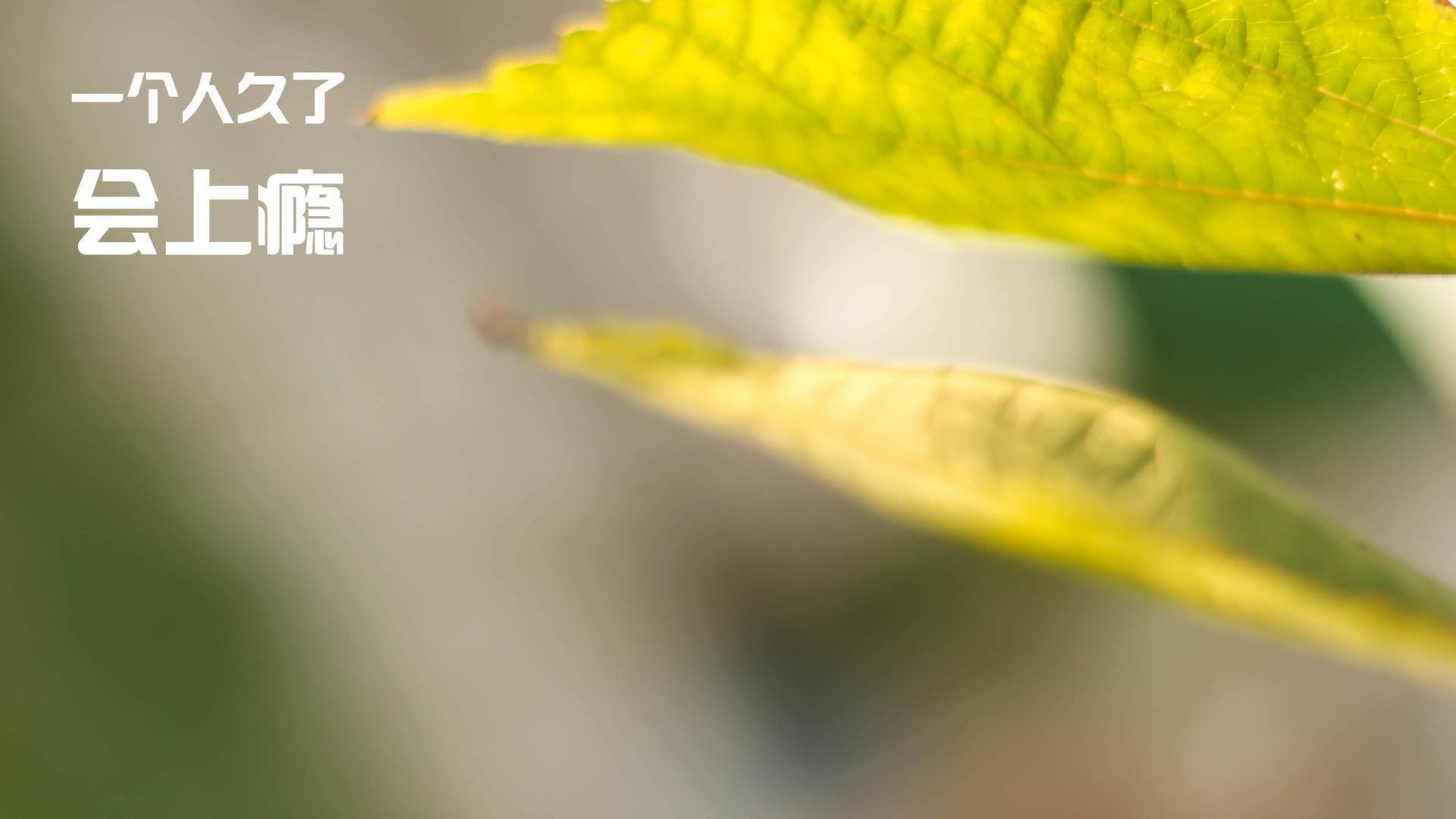 奥预赛国家队爆冷 球迷讨论焦点转移,奥预赛排名