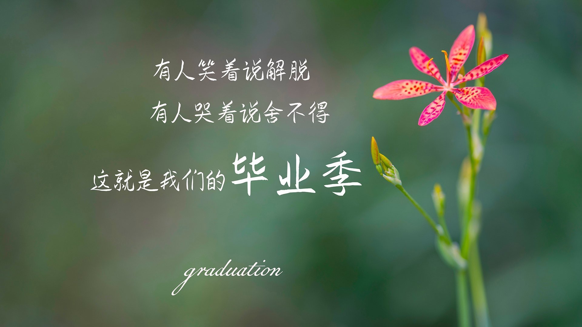 得分方式多样的球员更难被限制吗,球员得分怎么算