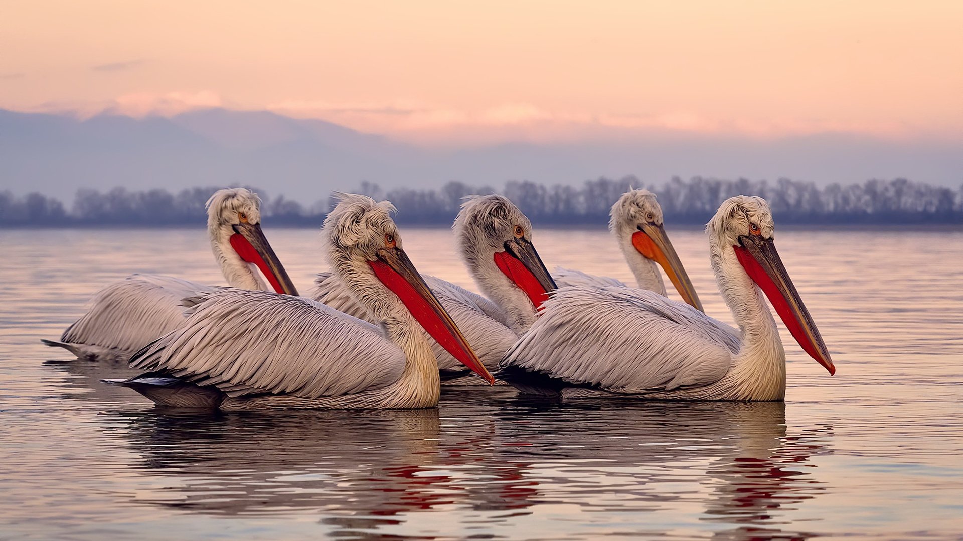 节奏图谱演化:中稳趋均,美快趋爆,节奏图谱是什么