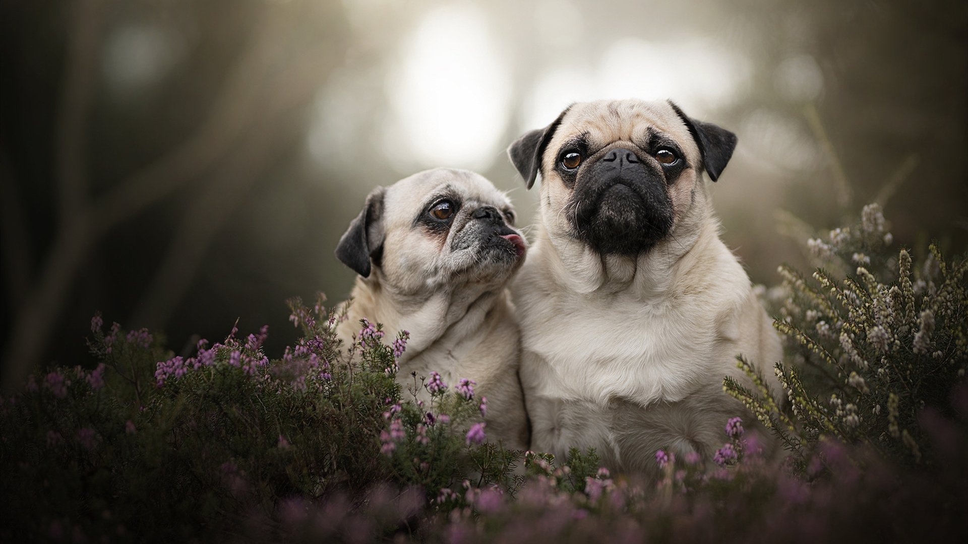 快船二队成员参与主队训练加快轮换适应,快船 队员