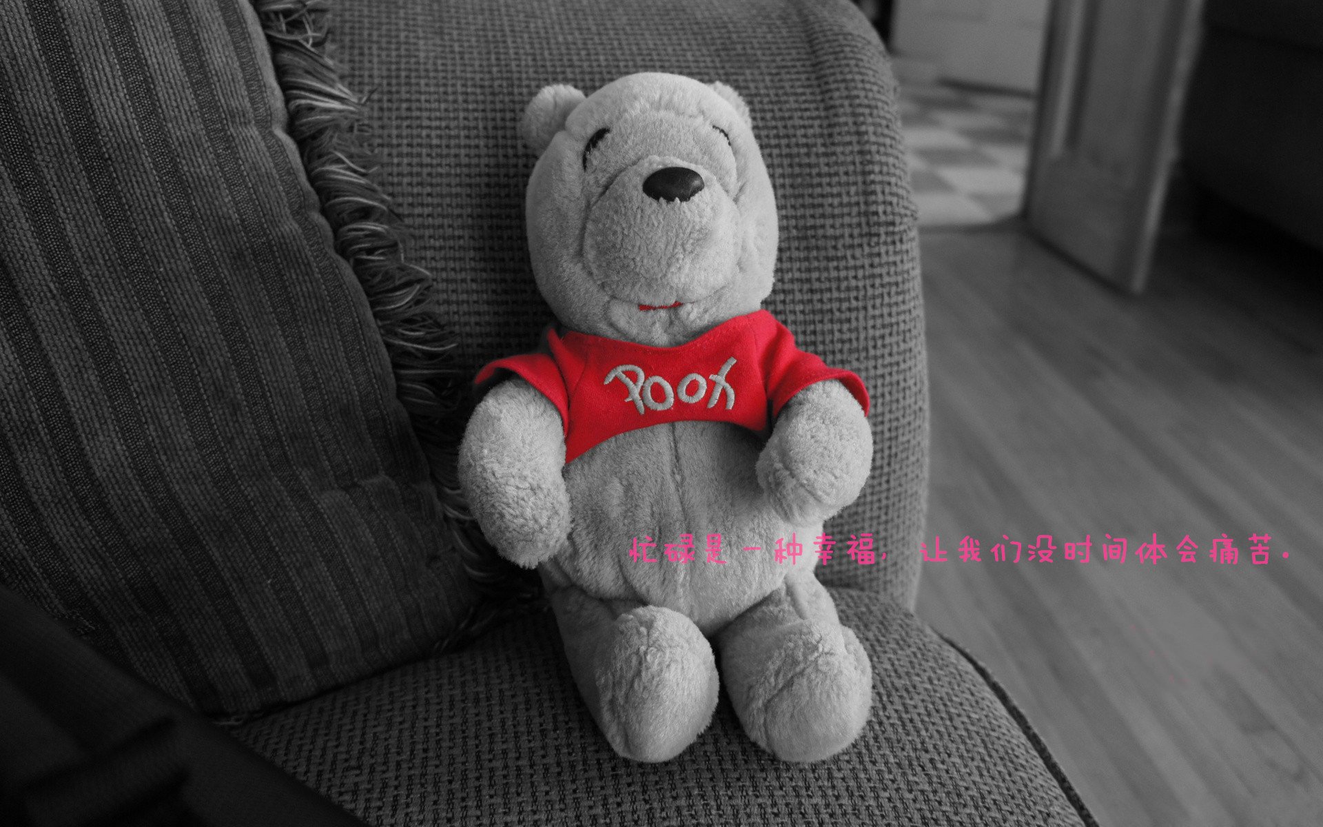 新西兰青训注重全方位发展,运动员素质全面提升,新西兰 运动