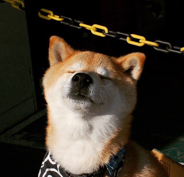 格鲁吉亚男篮在欧洲预赛中奋勇争先,期待突破,格鲁吉亚男篮国家队