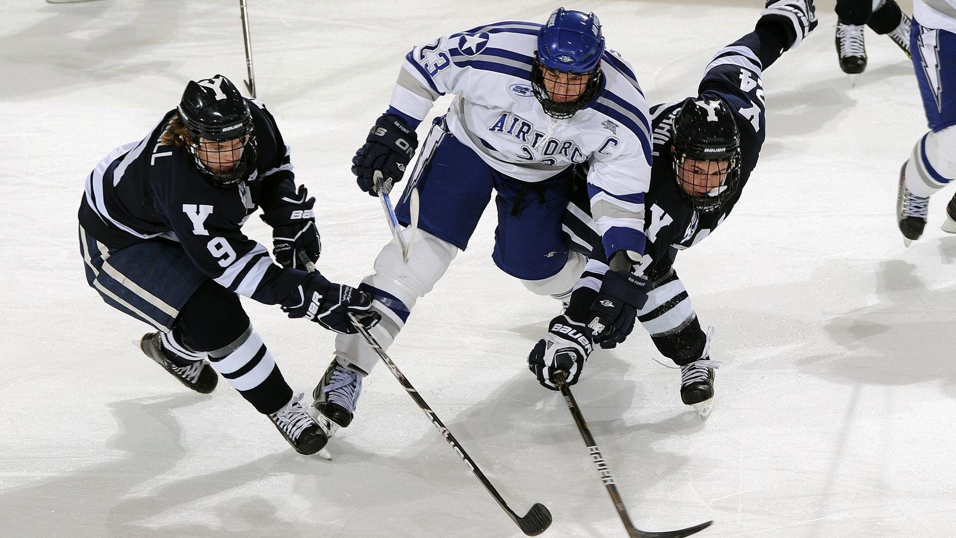 羽毛球大师赛 技术与策略的较量,羽毛球大赛冠军